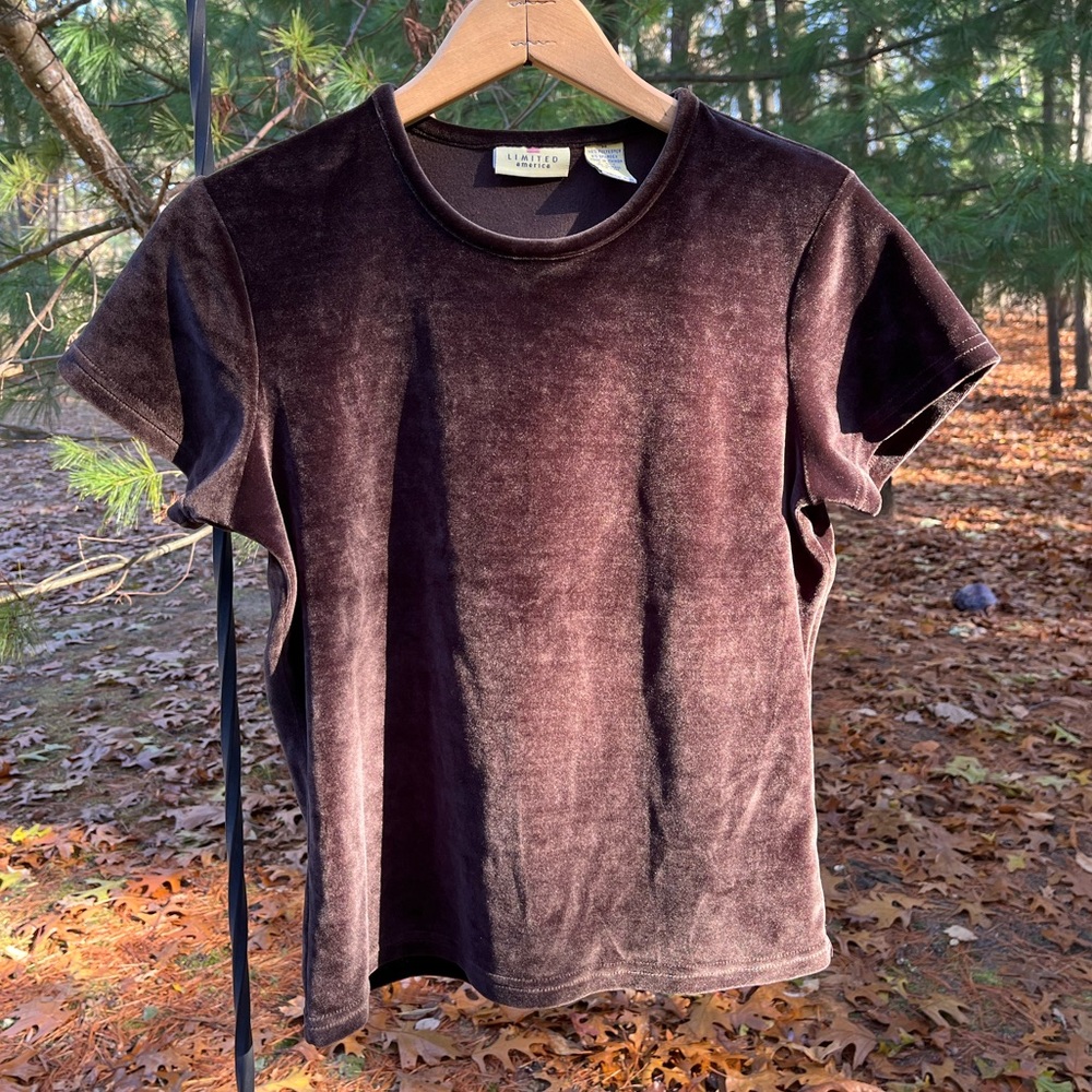 90s Brown Velvet Baby Tee